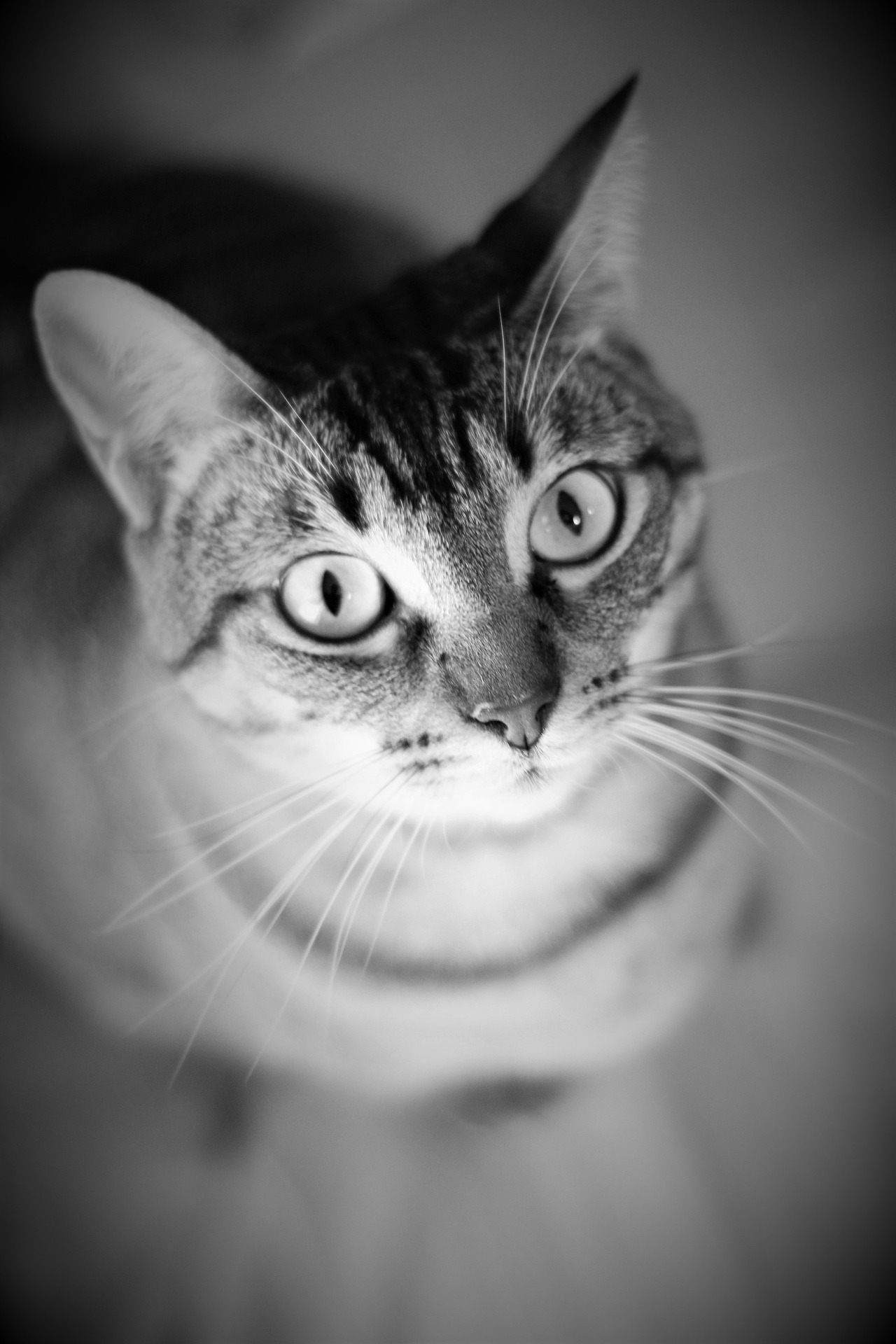 nme_technology_seo_services